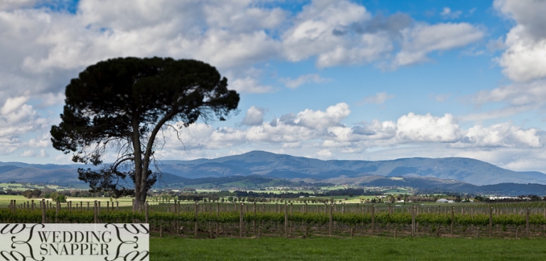 wedding photographers yarra valley