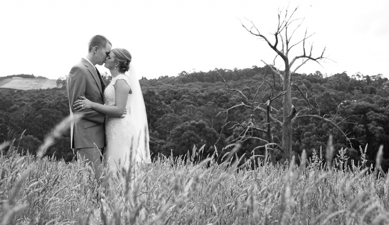 gum gully farm wedding photography