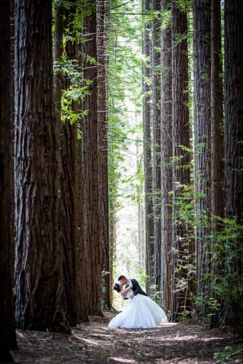 wedding-photographer-yarra-valley